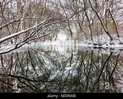 Tempesta di neve di primavera in Wisconsin, 15 aprile 2018, la neve e il ghiaccio rientrano in un freak tempesta di neve di primavera in Wisconsin, che colpiscono le case e la natura, DianaJ/StockimoNews/Alamy Foto Stock