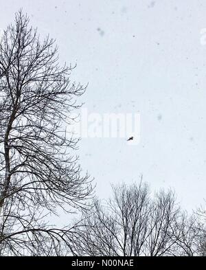 Tempesta di neve di primavera in Wisconsin, 15 aprile 2018, la neve e il ghiaccio rientrano in un freak tempesta di neve di primavera in Wisconsin, che colpiscono le case e la natura, DianaJ/StockimoNews/Alamy Foto Stock