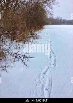 Tempesta di neve di primavera in Wisconsin, 15 aprile 2018, la neve e il ghiaccio rientrano in un freak tempesta di neve di primavera in Wisconsin, che colpiscono le case e la natura, DianaJ/StockimoNews/Alamy Foto Stock