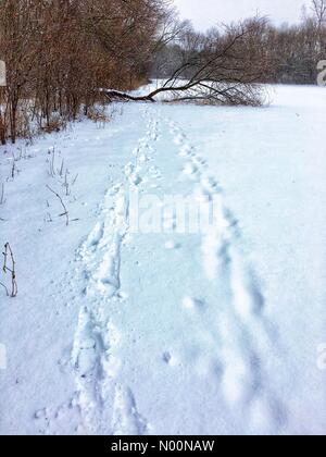 Tempesta di neve di primavera in Wisconsin, 15 aprile 2018, la neve e il ghiaccio rientrano in un freak tempesta di neve di primavera in Wisconsin, che colpiscono le case e la natura, DianaJ/StockimoNews/Alamy Foto Stock