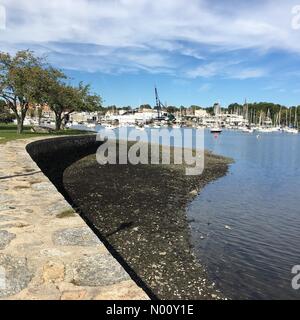 Mamaroneck, New York, Stati Uniti d'America. 16 ottobre, 2018. USA METEO 16 OTT 2018: Mamaroneck, NY: Bella cadono meteo barche nel porto di Harbour Island Park con il cielo azzurro e temperature autunnali in alta 50s bassa 60s F. Credito: Marianne A. Campolongo/StockimoNews/Alamy Live News Foto Stock