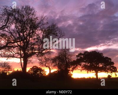 Easingwold, North Yorkshire, Regno Unito. 24 ott 2018. Tramonto mozzafiato vicino Easingwold nel North Yorkshire questa sera come UK Meteo temperatura dovuto a cadere nei prossimi giorni di credito: PennPix/Matt Pennington/StockimoNews/Alamy Live News Foto Stock