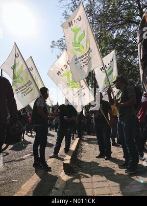 Oaxaca de Juarez, Messico. Il 1 maggio 2019. 1 maggio proteste in Oaxaca de Juarez, Oaxaca, Messico. Sindacati correre contro sleali riforme e abuso dei diritti dei lavoratori. 1 maggio 2019 Credit: #oneofakindtrip/StockimoNews/Alamy Live News Foto Stock