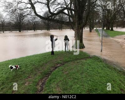 Herefordshire, Regno Unito Domenica 16th Febbraio 2020 il fiume Wye affluisce nel King George's Park Credit: Steven May/StockimoNews/Alamy Live News Foto Stock