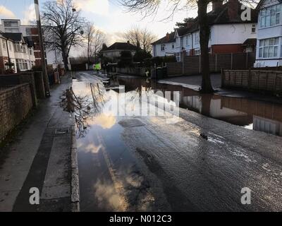 Hereford, Regno Unito. 16th Feb, 2020. UK Meteo Flooding a Hereford- Hereford, Herefordshire, Regno Unito Domenica 16th Febbraio 2020 Inondazioni nella zona dei Greyfriars della città dal fiume Wye. Il Wye continuerà a salire per tutta la notte. Credit: Steven May / Stockimonews/Alamy Live News Foto Stock