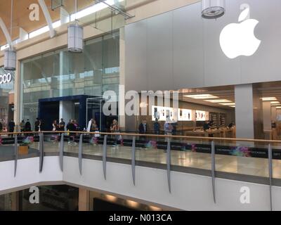 Cardiff, Galles del Sud, Regno Unito. 7 settembre 2020. Le code all'esterno dell'Apple Store questo pomeriggio sono causate dalla limitazione del numero di clienti nel negozio, poiché i casi di Coronavirus nel Regno Unito continuano a crescere. Credit: Andrew Bartlett/StockimoNews/Alamy Live News Foto Stock