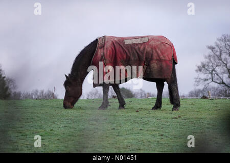 Regno Unito Meteo: Intervalli di sole in Godalming. Hambledon Road, Godalming. 16 gennaio 2021. Sgombrare i cieli sulle contee di casa questo pomeriggio. Intervalli di sole su Godalming in Surrey. Credit: Jamesjagger/StockimoNews/Alamy Live News Foto Stock