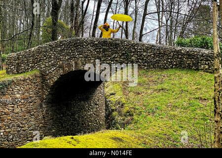 Foresta di Haldon in Devon. 26 Marzo 2021. UK Weather: Wet windy day at Haldon Forest in Devon Credit: Nidpor/StockimoNews/Alamy Live News Foto Stock