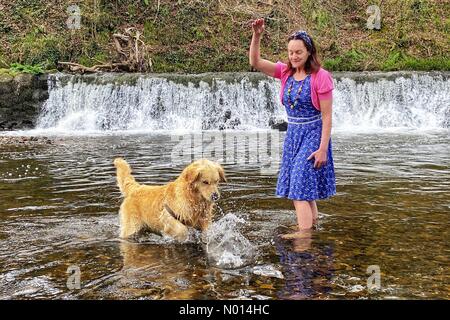 Fiume Teign, Teign Valley, Devon. 9 Aprile 2021. Regno Unito Meteo: Gioco di pagaia di acqua per Raphael il Retriever e Raich Keene nella giornata calda a Weir, River Teign, Teign Valley, Devon Credit: Nidpor/StockimoNews/Alamy Live News Foto Stock