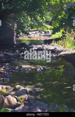 Segni di siccità: Parzialmente asciugato il fiume Teign a Steps Bridge vicino a Dunsford, Devon, Regno Unito. 9 Agosto 2022. Credit nidpor/ Alamy Live News Credit: Nidpor/StockimoNews/Alamy Live News Foto Stock