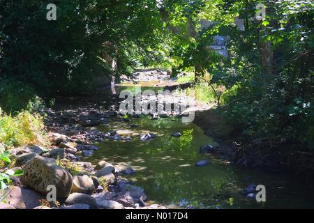 Segni di siccità: Parzialmente asciugato il fiume Teign a Steps Bridge vicino a Dunsford, Devon, Regno Unito. 9 Agosto 2022. Credit nidpor/ Alamy Live News Credit: Nidpor/StockimoNews/Alamy Live News Foto Stock