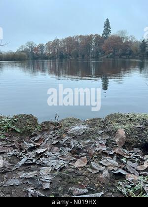 Meteo Regno Unito: Frosty in Godalming. Sycamore Avenue, Godalming. 1 dicembre 2023. Temperature sotto lo zero durante la notte per le Home Counties. Un brutto gelo a Godalming nel Surrey. Crediti: Jamesjagger/StockimoNews/Alamy Live News Foto Stock