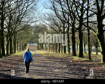 Tempo nel Regno Unito: Sole e gelo a Rivington. Donne che camminano lungo il viale alberato a Rivington vicino a Chorley nel Lancashire Foto Stock
