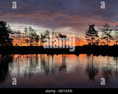 Godalming, Surrey. 28 gennaio 2024. Tempo nel Regno Unito: Alba su Thursley Common. Elstead Moat, Thursley. 28 gennaio 2024. Un inizio di giornata gelido per le Home Counties. Alba su Thursley Common vicino a Godalming, Surrey. Crediti: Jamesjagger/StockimoNews/Alamy Live News Foto Stock