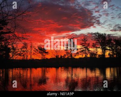 Godalming, Surrey. 28 gennaio 2024. Tempo nel Regno Unito: Alba su Thursley Common. Elstead Moat, Thursley. 28 gennaio 2024. Un inizio di giornata gelido per le Home Counties. Alba su Thursley Common vicino a Godalming, Surrey. Crediti: Jamesjagger/StockimoNews/Alamy Live News Foto Stock