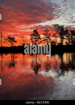 Godalming, Surrey. 28 gennaio 2024. Tempo nel Regno Unito: Alba su Thursley Common. Elstead Moat, Thursley. 28 gennaio 2024. Un inizio di giornata gelido per le Home Counties. Alba su Thursley Common vicino a Godalming, Surrey. Crediti: Jamesjagger/StockimoNews/Alamy Live News Foto Stock