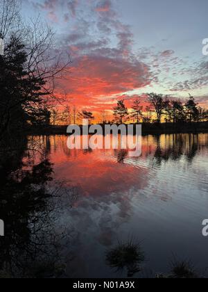 Godalming, Surrey. 28 gennaio 2024. Tempo nel Regno Unito: Alba su Thursley Common. Elstead Moat, Thursley. 28 gennaio 2024. Un inizio di giornata gelido per le Home Counties. Alba su Thursley Common vicino a Godalming, Surrey. Crediti: Jamesjagger/StockimoNews/Alamy Live News Foto Stock