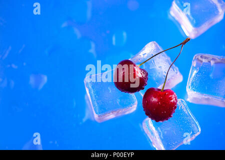 Le ciliege fresche su una pila di cubetti di ghiaccio di close-up su un brillante sfondo blu. Rinfrescante bevanda estiva concetto con spazio di copia Foto Stock