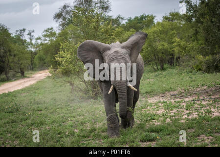 La carica del veicolo nel gioco modo completo Foto Stock