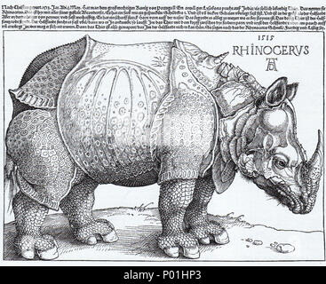 8 Rhinocerus xilografia (1515) Albrecht Dürer Foto Stock