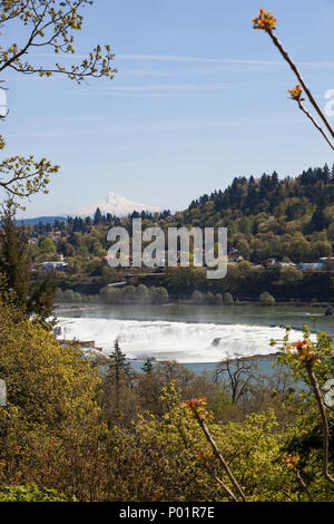 Il fiume Willamette cascading sulle rocce della Willamette cade con Oregon City e Mt. Cappa in distanza. Foto Stock