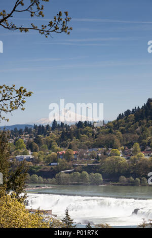 Il fiume Willamette cascading sulle rocce della Willamette cade con Oregon City e Mt. Cappa in distanza. Foto Stock