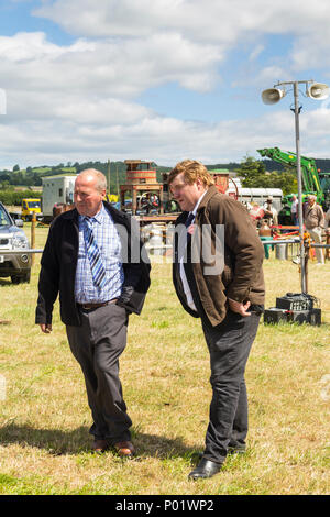 I giudici deliberano sulla fondatezza delle vacche è entrato in uno dei bovini mostrano le classi al Arthington show, West Yorkshire nel 2017. Foto Stock
