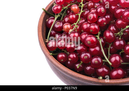 Fresco ribes rosso in una ciotola su uno sfondo bianco closeup Foto Stock