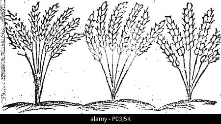 . Inglese: Fleuron dal libro: una raccolta di nuove canzoni chiamata'd, la ghirlanda Milk-Maids I. La Bonny Milk-Maid. II. Il meraviglioso matrimonio. III. L'incontro privato tra due amanti. IV. Il frettoloso amante, &c. V. principesca di ricreazione, o il curioso Faulkon. 43 Una raccolta di nuove canzoni chiamata'd, la ghirlanda Milk-Maids ho Fleuron T000044-1 Foto Stock