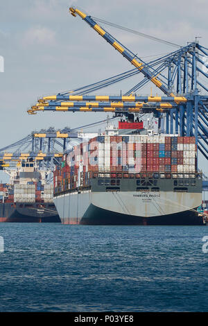 Le navi container giganti, ponte di Amburgo e il Messico, di carico e di scarico nel porto di Los Angeles , California, USA. Foto Stock