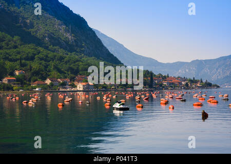 Allevamenti di ostriche nella Baia di Kotor, Montenegro, Kotor-Risan Foto Stock