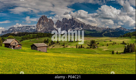 Alpe di Siusi - Alpe di Siusi con Sella e Sassolungo - Sassolungo gruppo montuoso, Trentino Alto Adige - Alto Adige, Italia Foto Stock