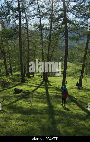 Trekking nel nord del deserto, Kanas Lake National Park, Xinjiang, Cina Foto Stock