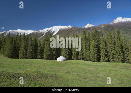 Home sulla gamma; yurta presso Kanas Lake National Park, Xinjiang, Cina Foto Stock