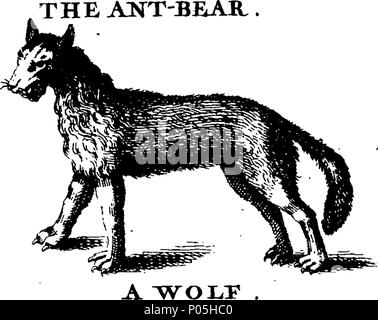 . Inglese: Fleuron dal libro: una descrizione di trecento animali; vale a dire le bestie, uccelli, pesci, serpenti e insetti. Con un conto in particolare della balena-pesca. Estratto dei migliori autori e adattato per l'uso di tutte le capacità; soprattutto per attirare i bambini a leggere. Illustrato con piastre di rame, sul quale è incisa curiosamente ogni bestia, uccelli, pesci, Serpent e insetti, describ'd in tutto il libro. 88 Una descrizione di trecento animali; viz Fleuron T135789-15 Foto Stock