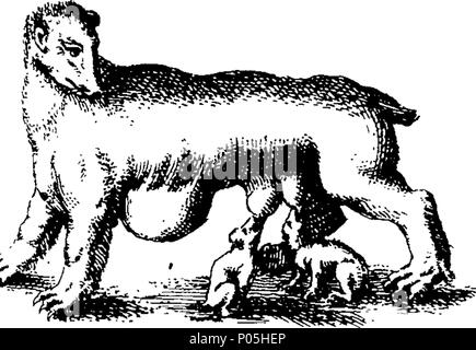 . Inglese: Fleuron dal libro: una descrizione di trecento animali; vale a dire le bestie, uccelli, pesci, serpenti e insetti. Con un conto in particolare della balena-pesca. Estratto dei migliori autori e adattato per l'uso di tutte le capacità; soprattutto per attirare i bambini a leggere. Illustrato con piastre di rame, sul quale è incisa curiosamente ogni bestia, uccelli, pesci, Serpent e insetti, describ'd in tutto il libro. 88 Una descrizione di trecento animali; viz Fleuron T135789-44 Foto Stock
