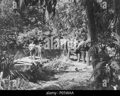 Pellicola originale titolo: Tarzan e le Amazzoni. Titolo inglese: Tarzan e le Amazzoni. Regista: KURT NEUMANN. Anno: 1945. Stelle: Johnny Weissmuller. Credito: RKO / Album Foto Stock