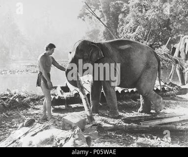 Pellicola originale titolo: Tarzan e le Amazzoni. Titolo inglese: Tarzan e le Amazzoni. Regista: KURT NEUMANN. Anno: 1945. Stelle: Johnny Weissmuller. Credito: RKO / Album Foto Stock