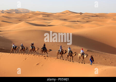 Turisti che si godono il Camel Trek In Erg Chebbi dune di Merzouga, Marocco Foto Stock