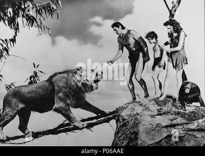 Pellicola originale titolo: TARZAN'S tesoro segreto. Titolo inglese: TARZAN'S tesoro segreto. Regista: RICHARD THORPE. Anno: 1941. Credito: M.G.M. / Album Foto Stock