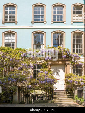 Il Glicine coperto case in Hotwells, Bristol, Regno Unito Foto Stock