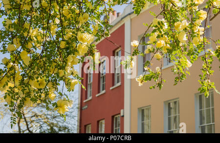 Il poligono in Cliftonwood, Bristol, Regno Unito, un terrazzamento di epoca Georgiana con un giardino condominiale. Foto Stock