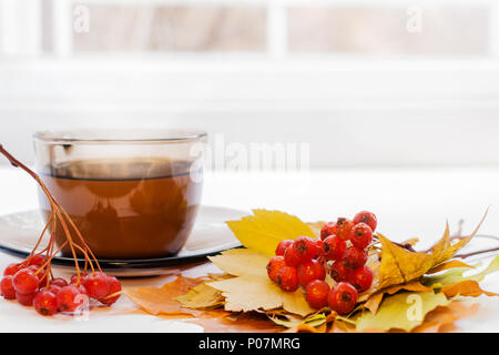 Close-up mazzo di rossi maturi di bacche di biancospino e la tazza di tè sul davanzale bianco vicino alla finestra. Foto Stock