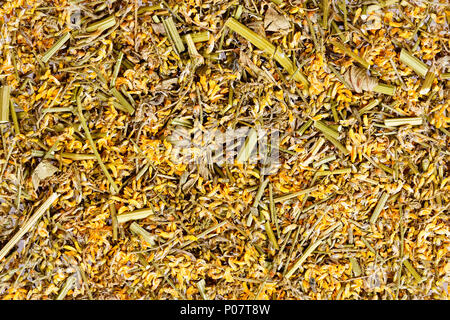 Texture di Melilot, Meliloti herba. Foto Stock