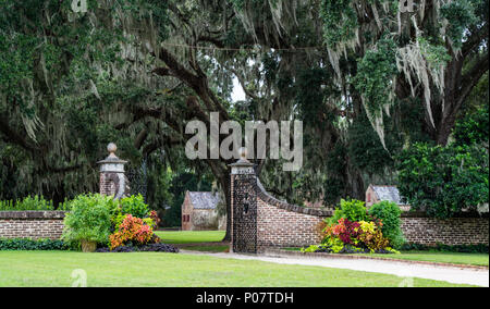 Boone Hall Plantation, Live Oaks, Slave Street, South Carolina, Mount Pleasant Foto Stock