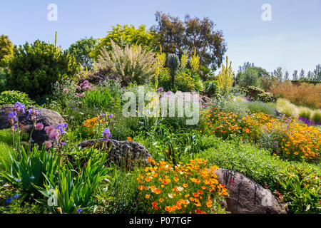 I rinomati Giardini a secco ad RHS Gardens Hyde Hall in Essex su una Gloriosa Mattina d'estate Foto Stock