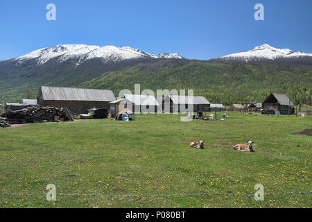 Idilliaco villaggio Tuvan, Kanas Lake National Park, Xinjiang, Cina Foto Stock