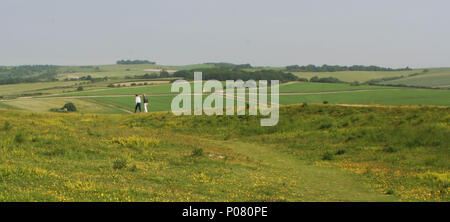 Anello Cissbury, West Sussex Foto Stock