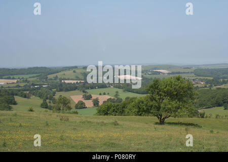 Anello Cissbury, West Sussex Foto Stock