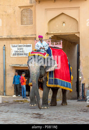 Elefante conducente nello storico forte di Amber a Jaipur, India Foto Stock